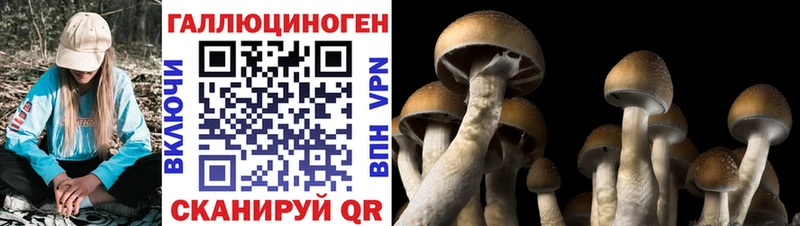Купить  Тюкалинск  Псилоцибиновые грибы мухоморы 